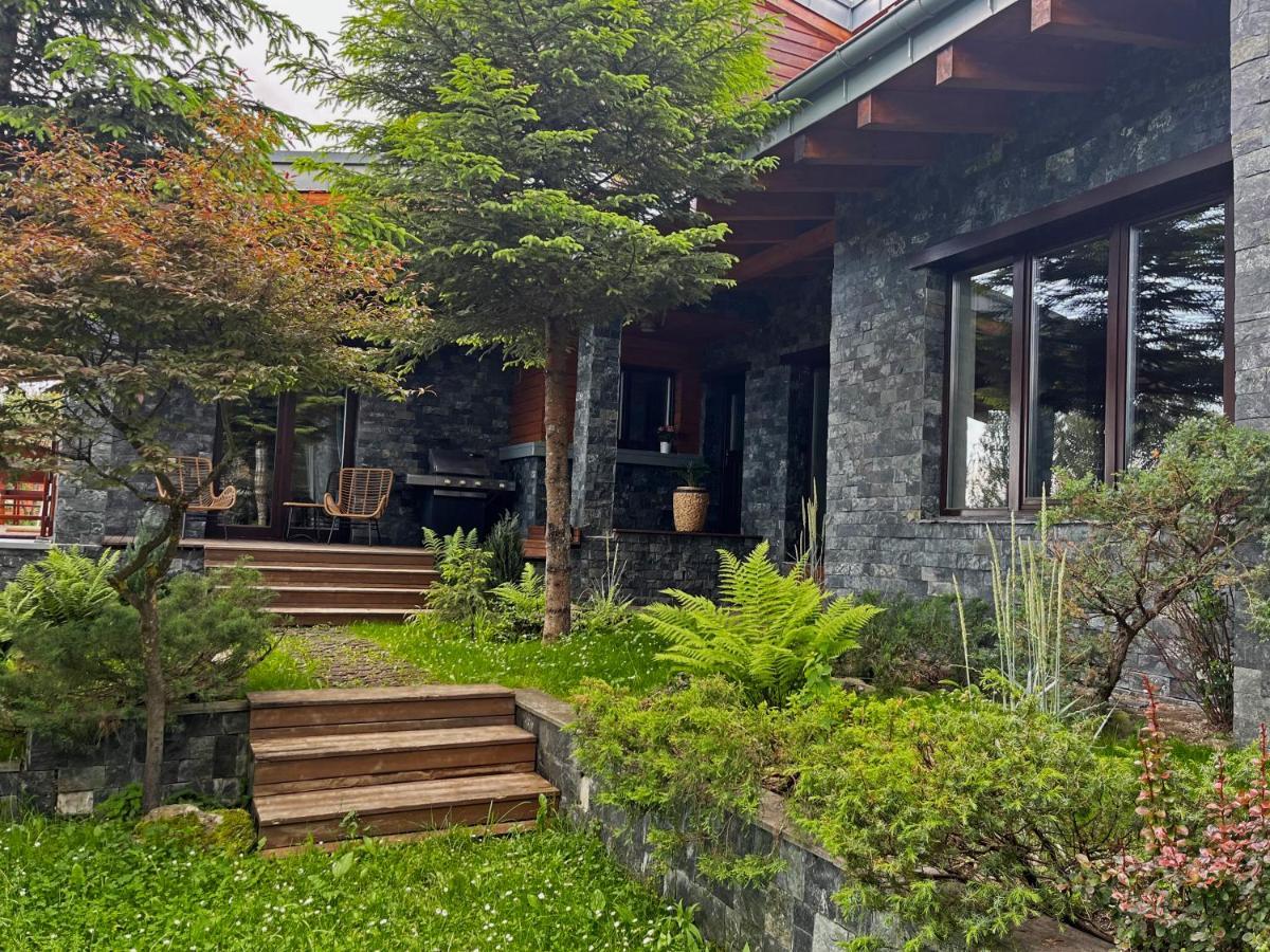 Bazalt Wellness Villa Harghita-Bai Exterior photo